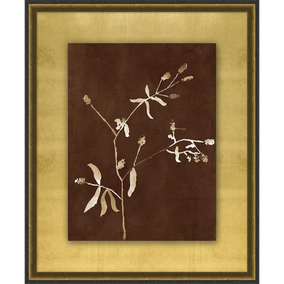 Wendover Botanist Study 6