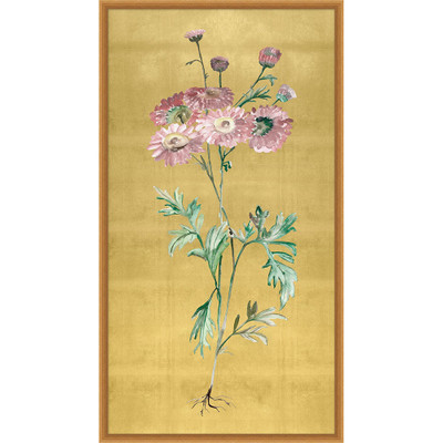 Wendover Golden Stem 3