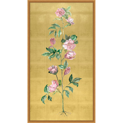 Wendover Golden Stem 1