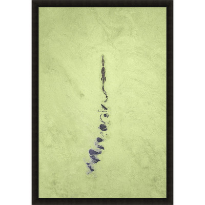 Wendover Gator Trail