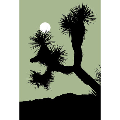 Wendover Joshua Tree Dance 6