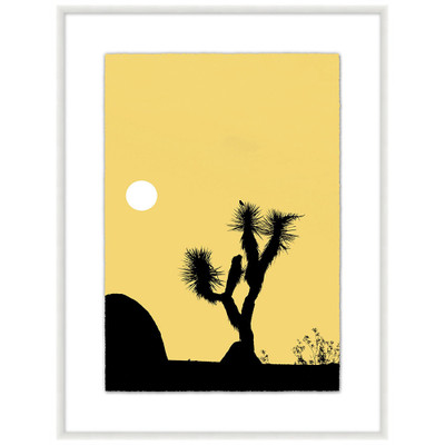 Wendover Joshua Tree Dance 3