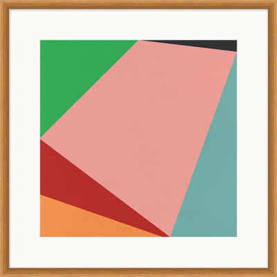 Wendover Savanna Geometry 5