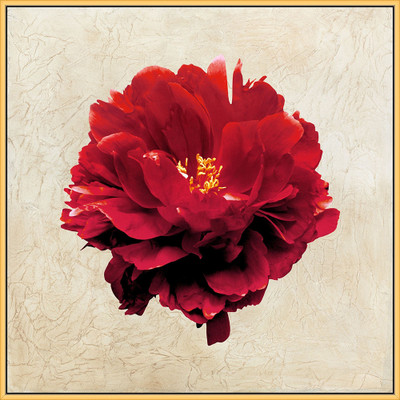 Wendover Textured Petals 1