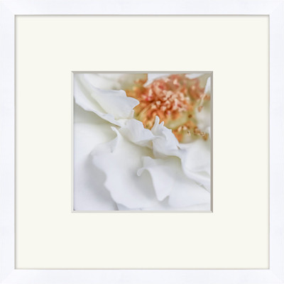 Wendover White Ruffle