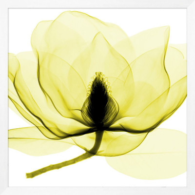 Wendover Hand-Picked Lime 3