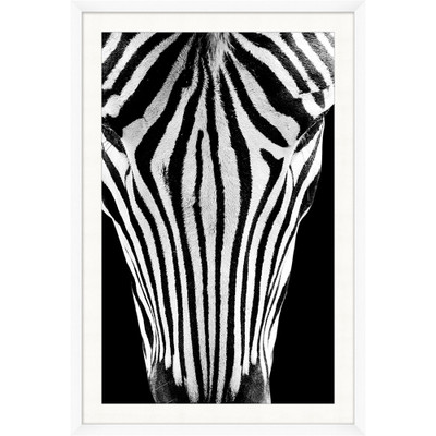 Wendover Dynamic Zebra 2