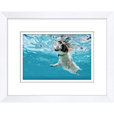 Wendover Disco Dog Paddle 2