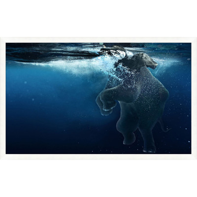 Wendover Elephant Swim 2