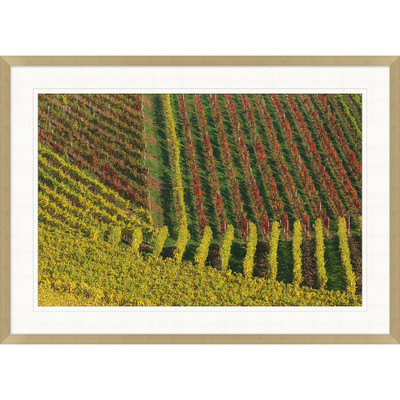 Wendover Fall Colors of the Vineyard 1