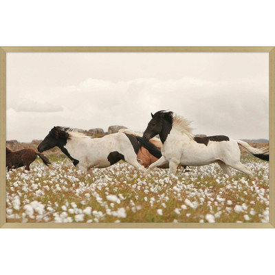 Wendover Wildflower Stallions