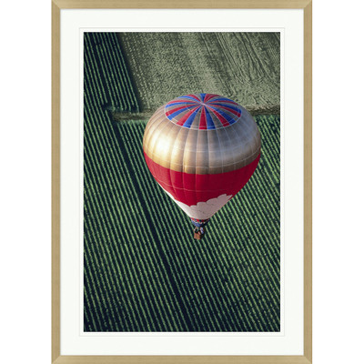 Wendover Balloon Over Vineyard 2