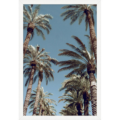 Wendover Palms in the Sky 2
