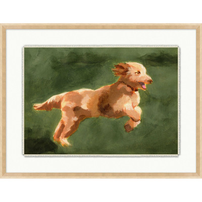 Wendover Playful Pups 4