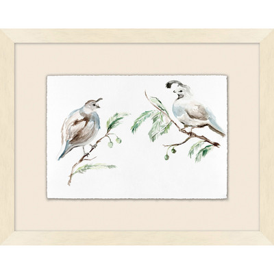 Wendover California Valley Quail with Redwood