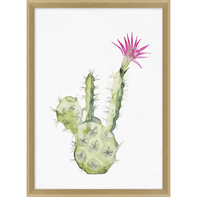 Wendover Pink Blooming Cacti 6