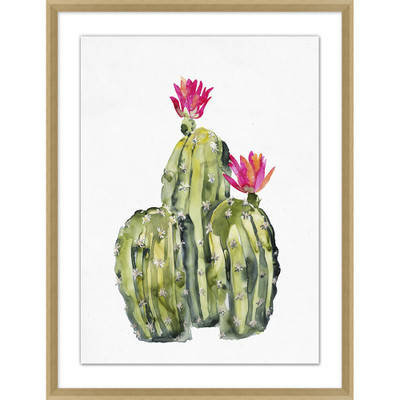 Wendover Pink Blooming Cacti 2