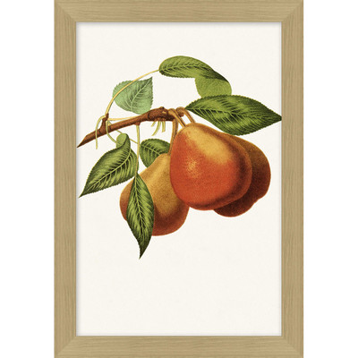 Wendover Fruit Harvest 8