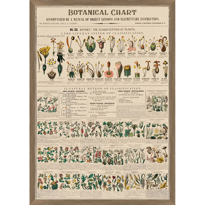 Wendover Botanical Chart 1