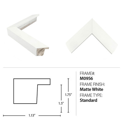 Wendover Bougainvillea Tree 1