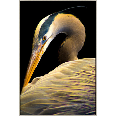Wendover Heron Heroics