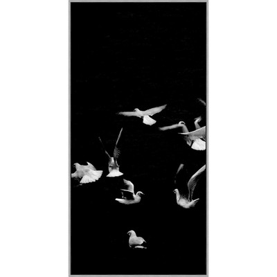 Wendover Fly Together 1