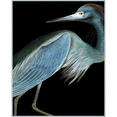 Wendover Stately Heron 1