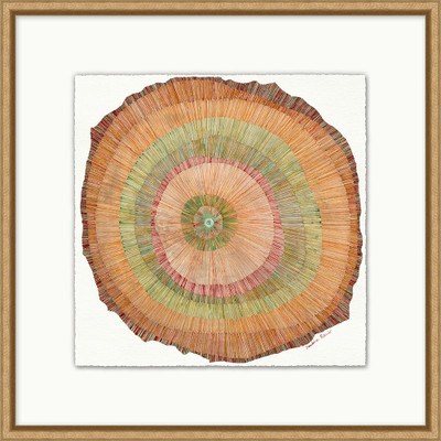 Wendover Petrified Forest 1