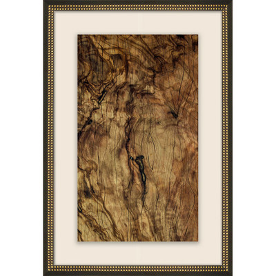 Wendover Exposed Burl 1