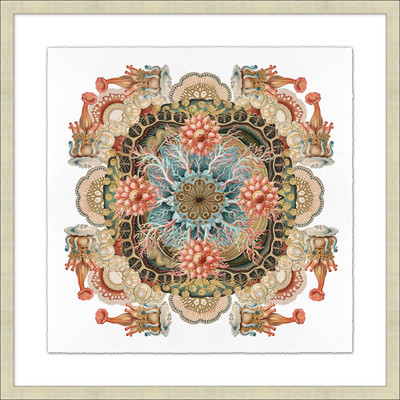 Wendover Sealife Composition 2