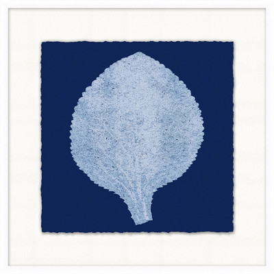 Wendover Natures Transparency 3