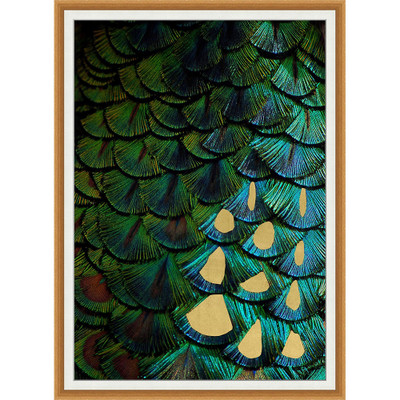 Wendover Peacock Feathers 1