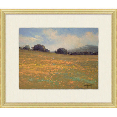 Wendover Oaks and Wild Flowers 3