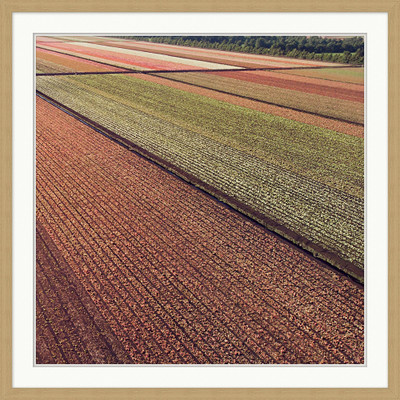 Wendover Geometric Rows 2