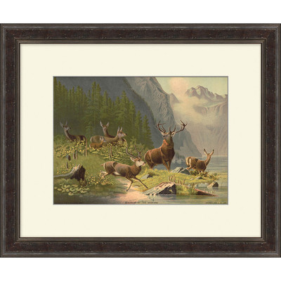 Wendover Monarchs of the Mountains