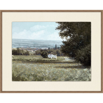 Wendover Poppy Field 2 - WLD2399