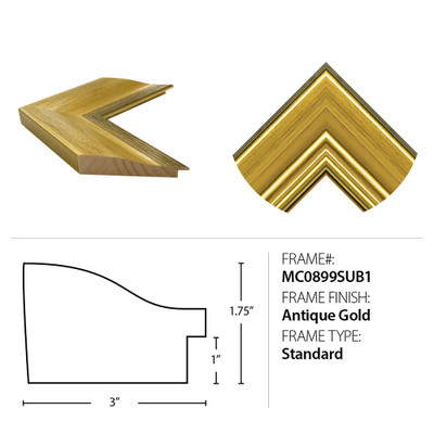 Wendover Field of Poppies 1