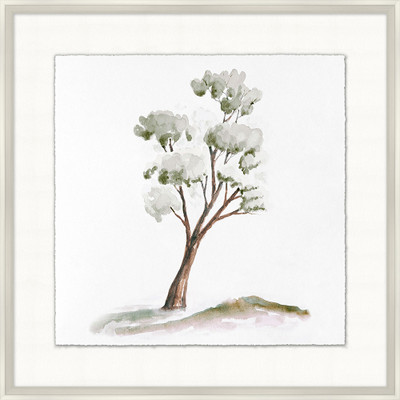 Wendover Park Tree 7