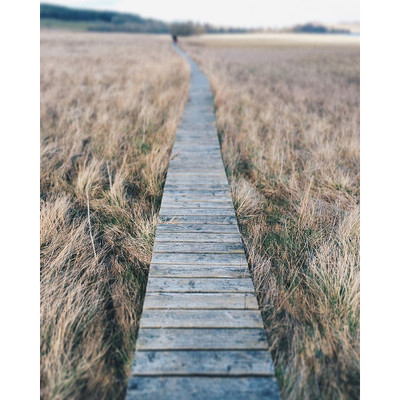 Wendover Nature Reserve