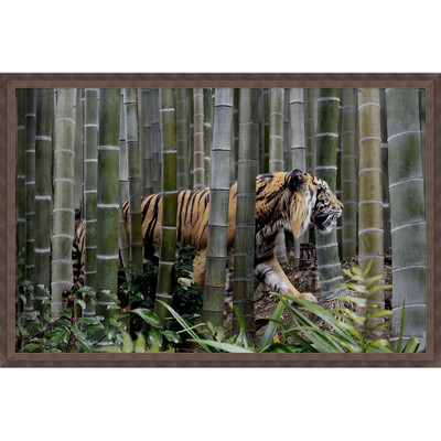 Wendover Through the Bamboo