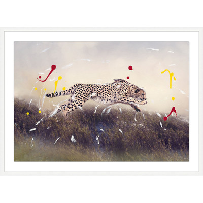 Wendover The Wild Sprinter