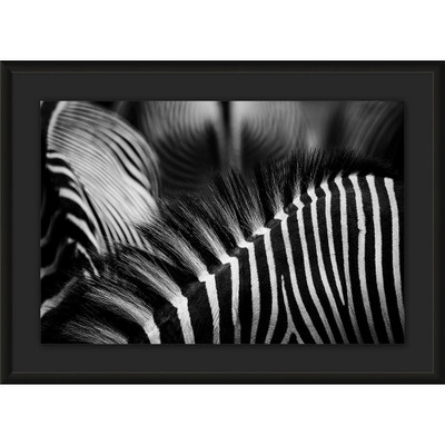 Wendover Regal Stripes 1