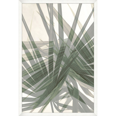 Wendover Palm to Shapes 2