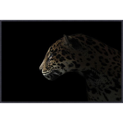 Wendover Strayed Into Shadow 4