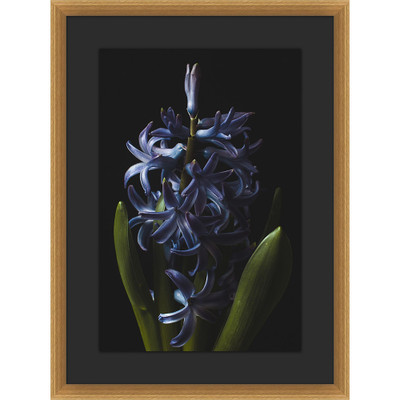 Wendover Floral Portrait 4