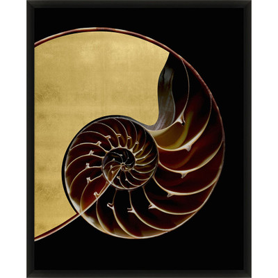 Wendover Golden Nautilus 2