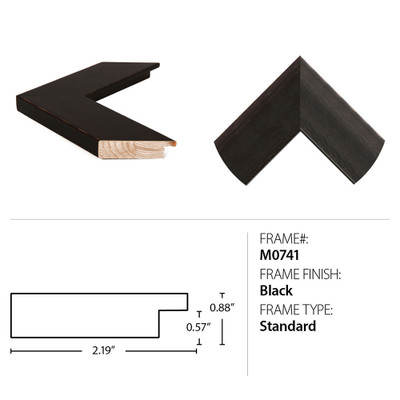 Wendover American Bison 1