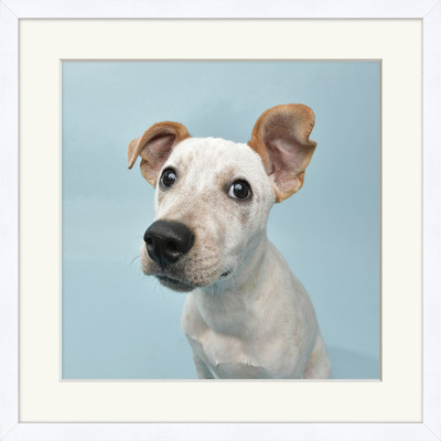 Wendover Dog Cameo Archie