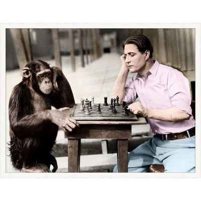 Wendover Checkmate - WPH1677