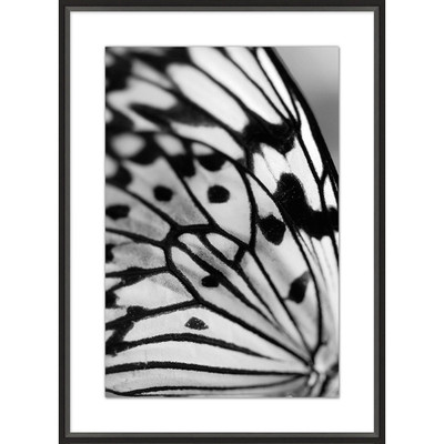 Wendover Macro Butterfly 1